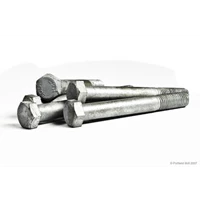 Stainless Steel Bolt Nut 304